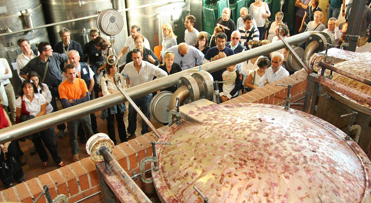 Grapperie aperte