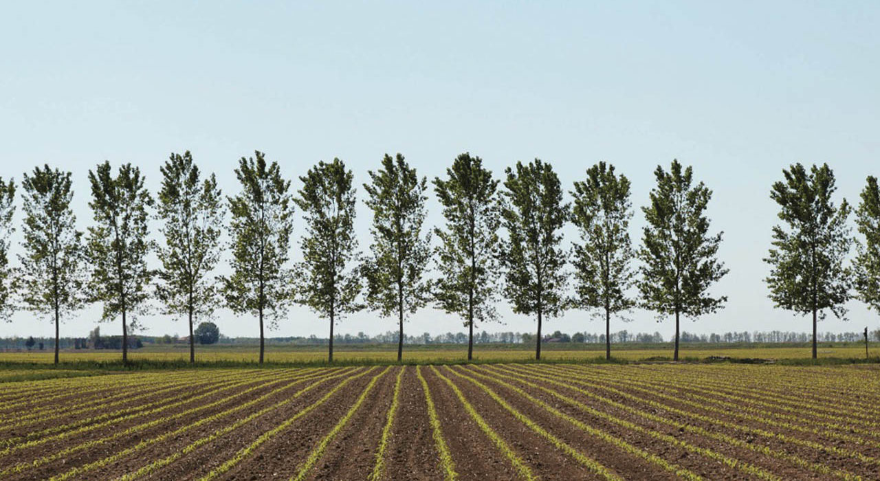 Ca' Corniani, paesaggio
