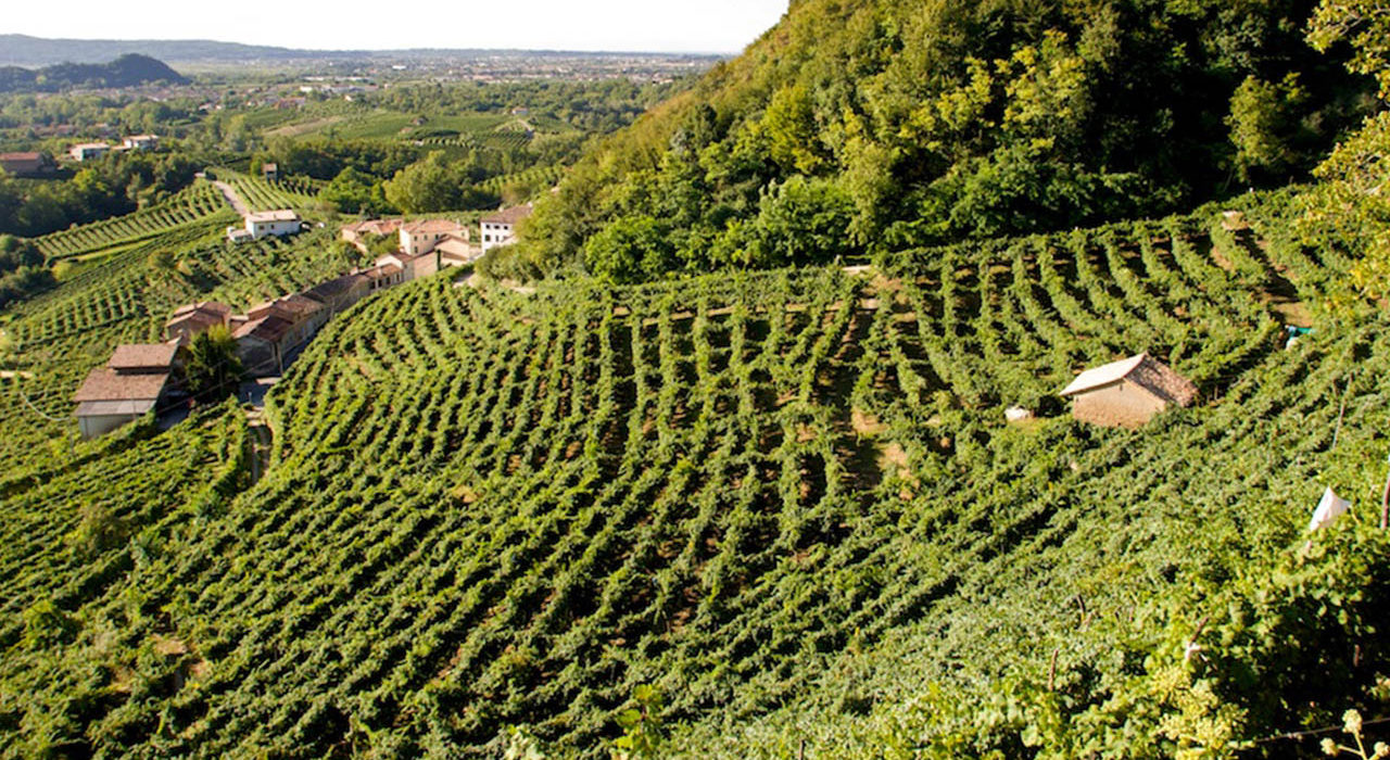 Ca’ dei Carraresi, prosecco