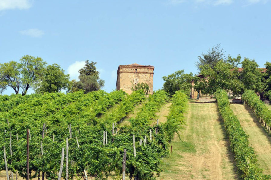 Piede Franco, Le Ghiarelle
