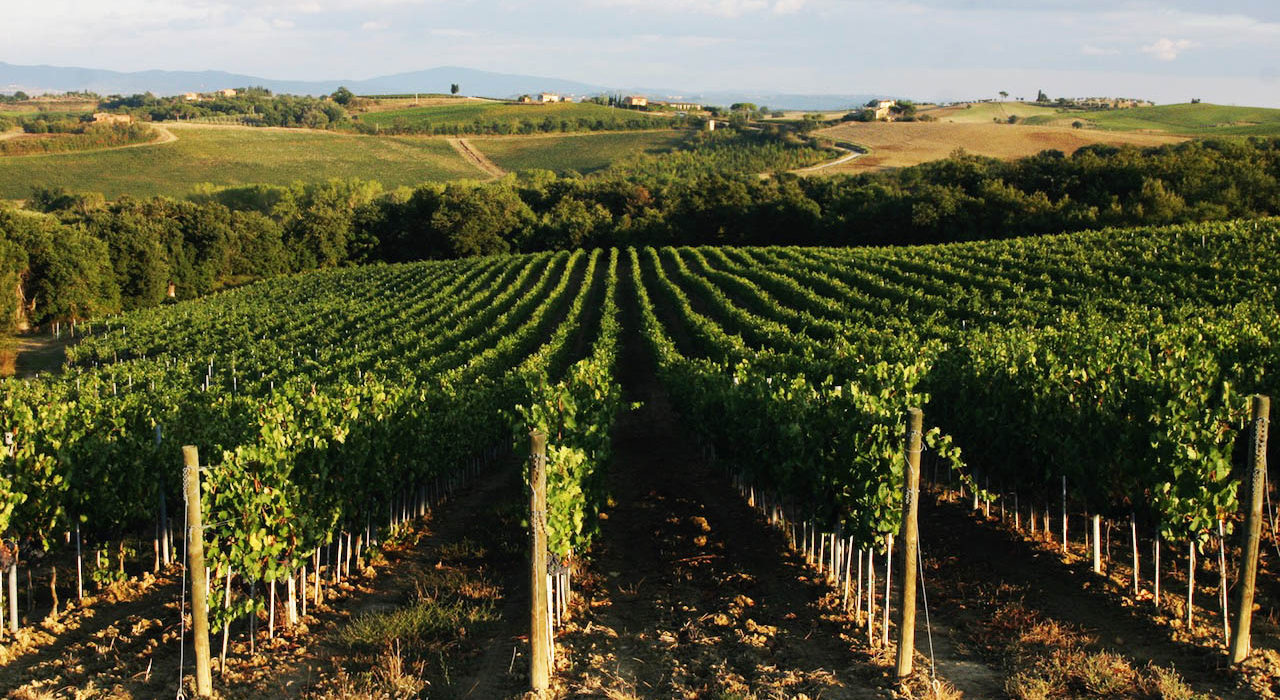 Montepulciano