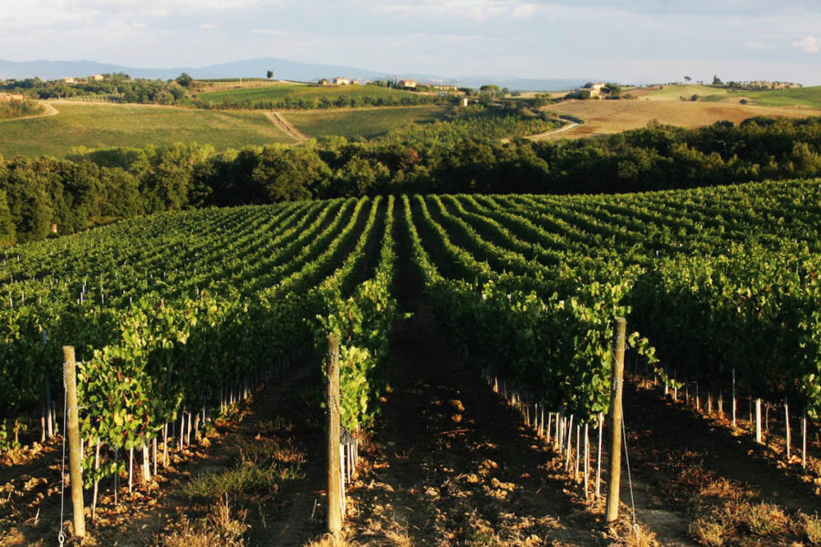 Montepulciano