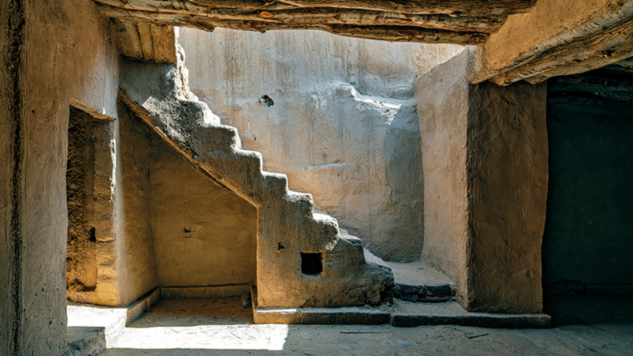 Alula Pattern ALULA - JOURNEY THROUGH TIME – James Magazine